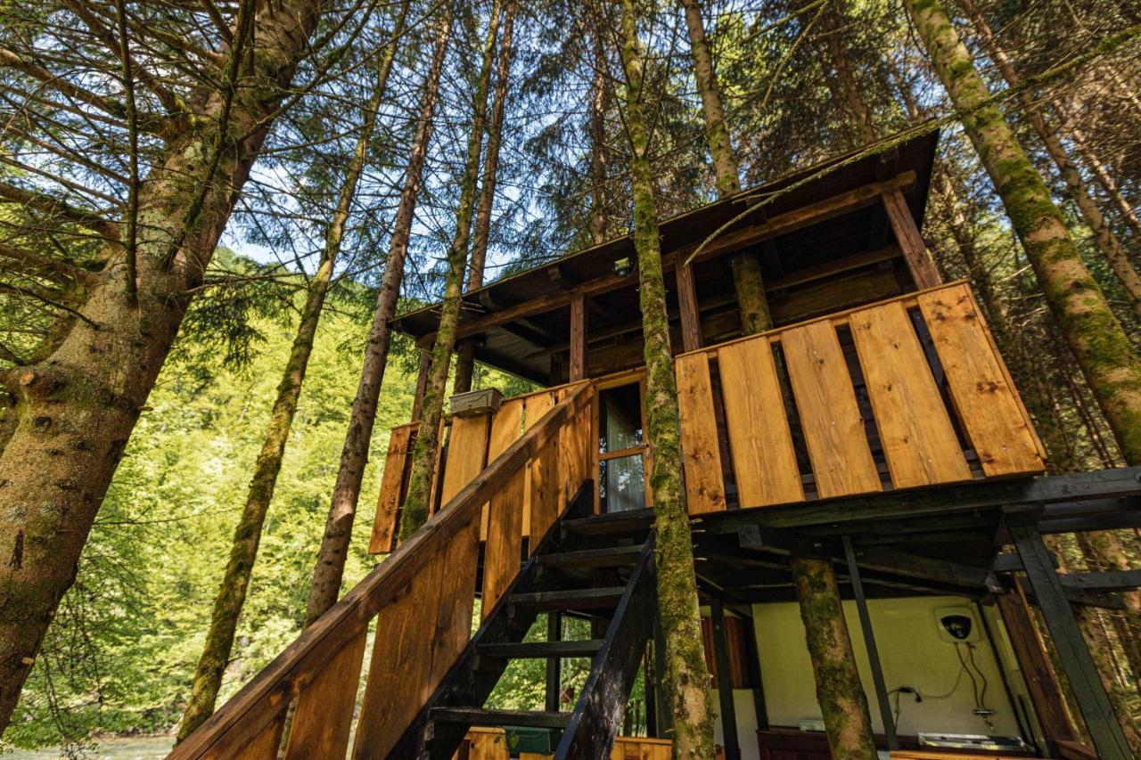Treehouse Kupari Nacionalni Park Risnjak Cabar エクステリア 写真