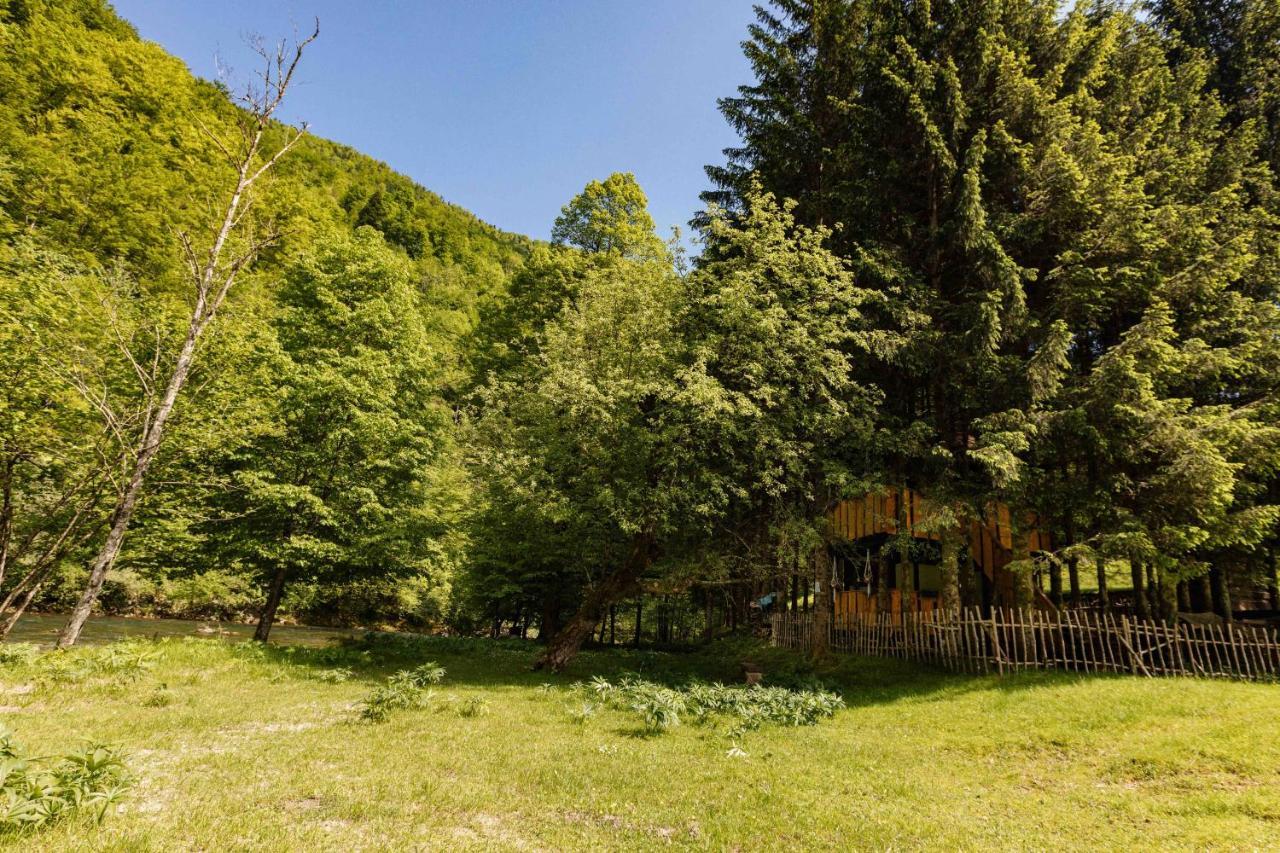 Treehouse Kupari Nacionalni Park Risnjak Cabar エクステリア 写真